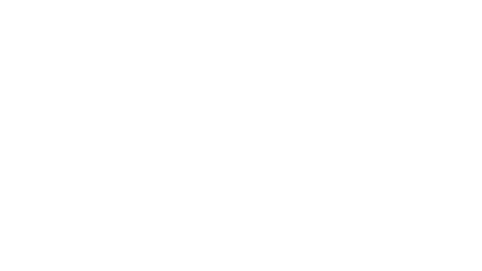Havariet